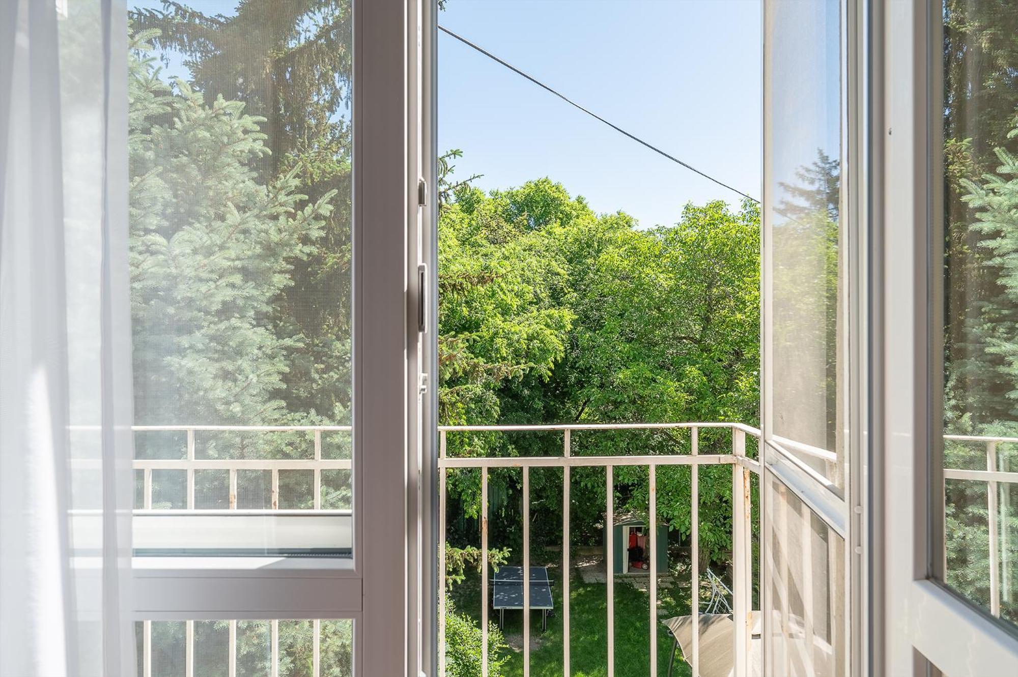 Apartmán Bambusz